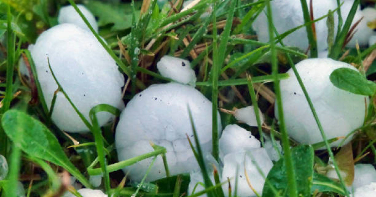 Ертең Астанада бұршақ жауады деп күтілуде