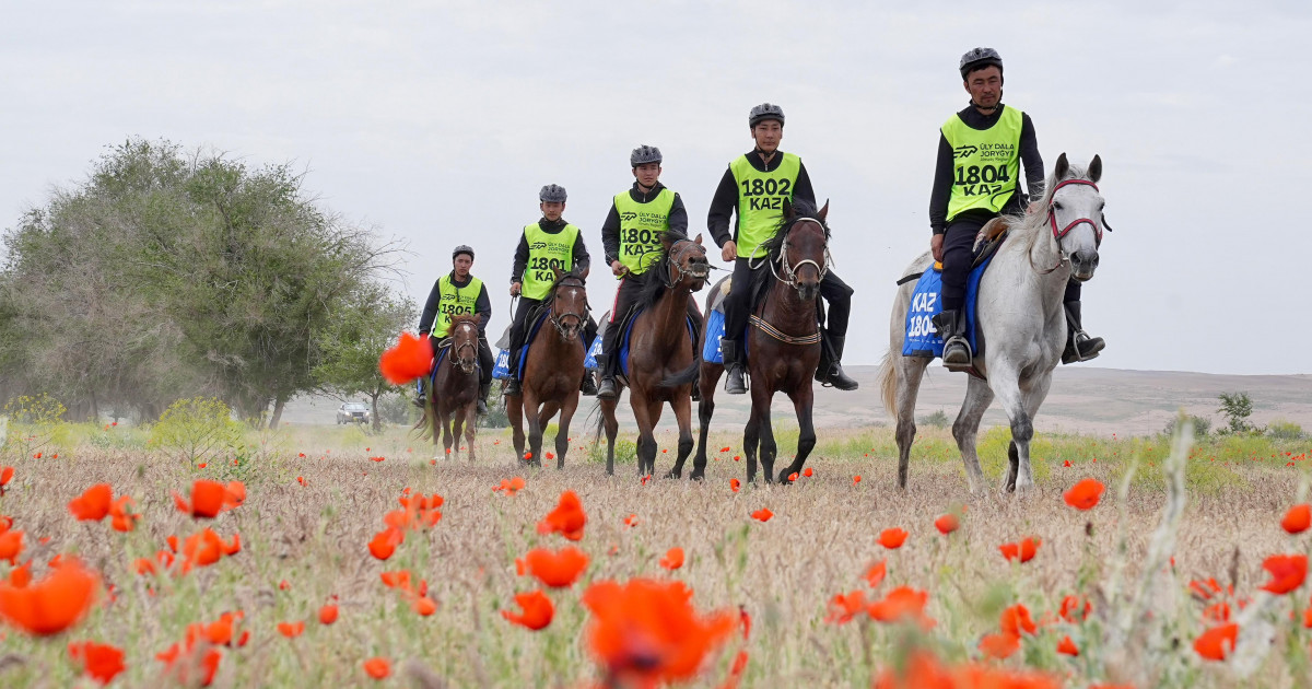«Ұлы дала жорығы»: бірінші күннің жеңімпазы анықталды