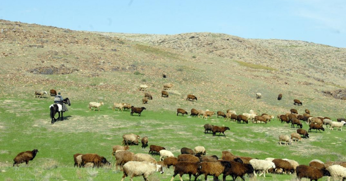 Қайтарылған жер – халық игілігіне