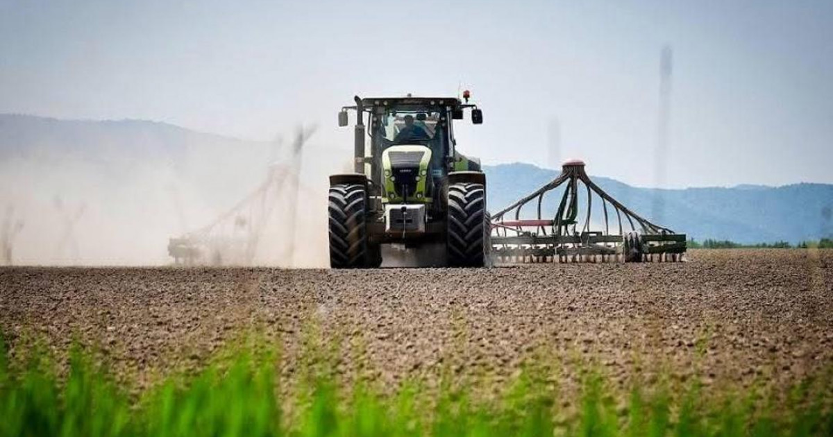 Қазақстанда алғаш рет 1 миллион гектар жер егіс алқаптарын әртараптандыруға бөлінді