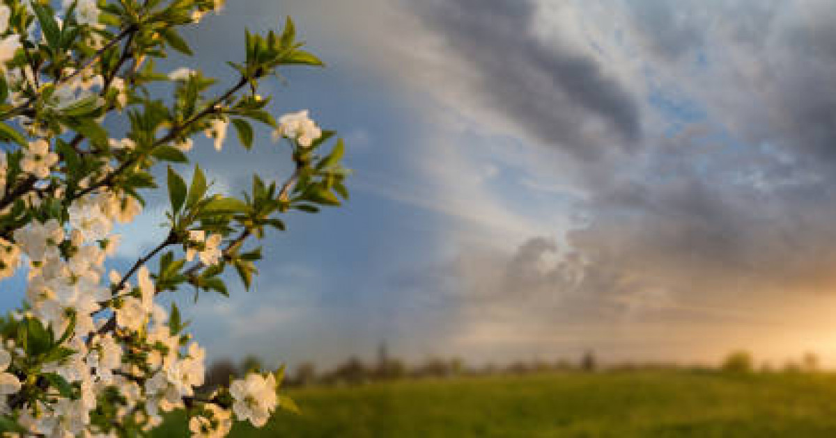«Қазгидромет»: Бүгін дауыл соғып, аптап ыстық болады