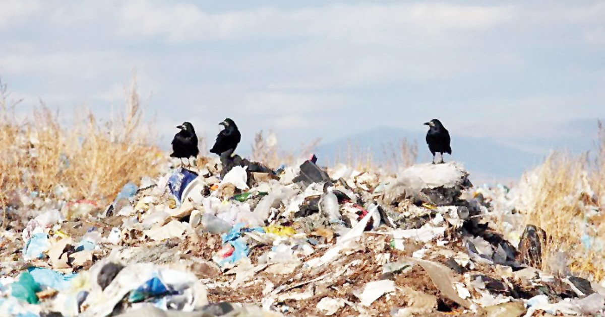 Қоқыс полигоны қашан салынады?