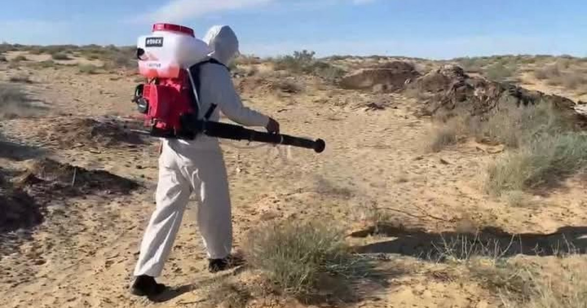 Сырдағы ахуал алаңдатады