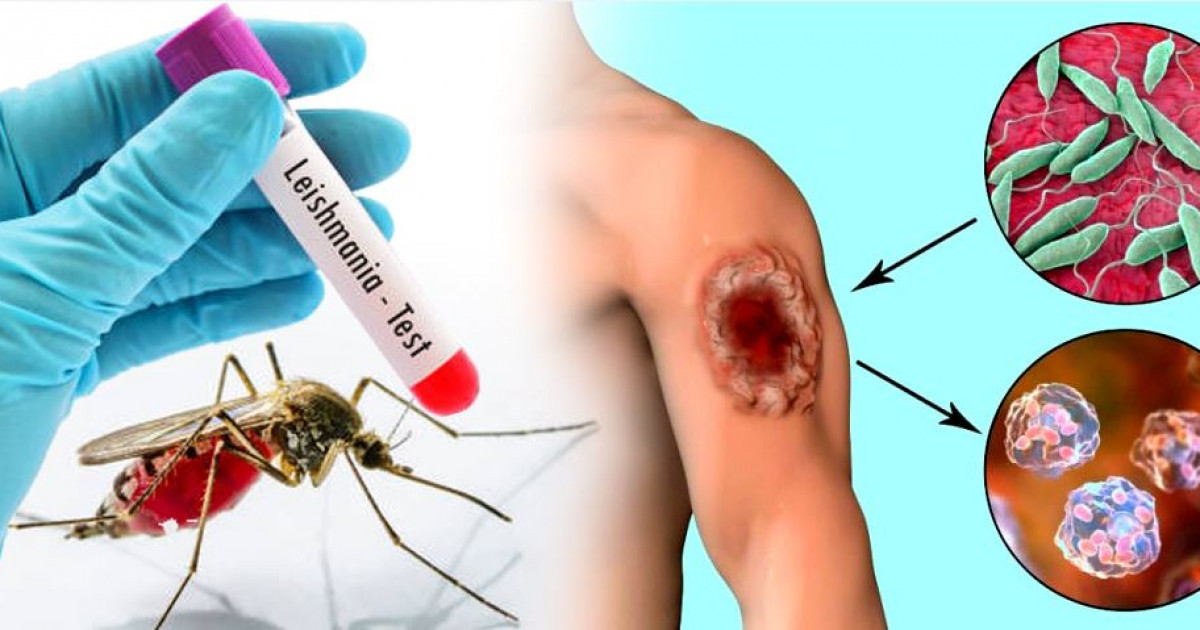 Тазалық – қауіпті дертке тосқауыл