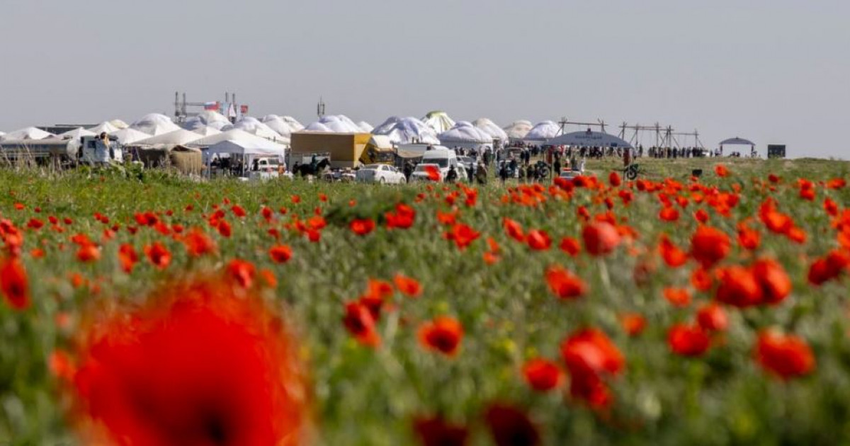 Жамбылда «Қызғалдақ мұра» фестивалі дүркіреп өтті