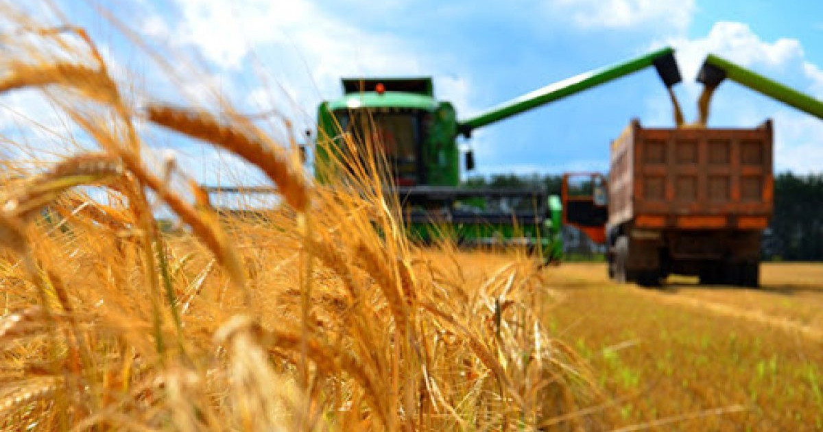 Агроөнеркәсіптік кешен 13,7%-ға өсті