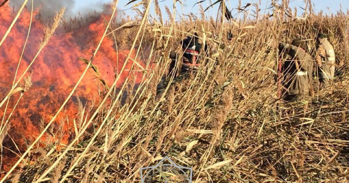 Атырау облысында қамыс өртке оранды