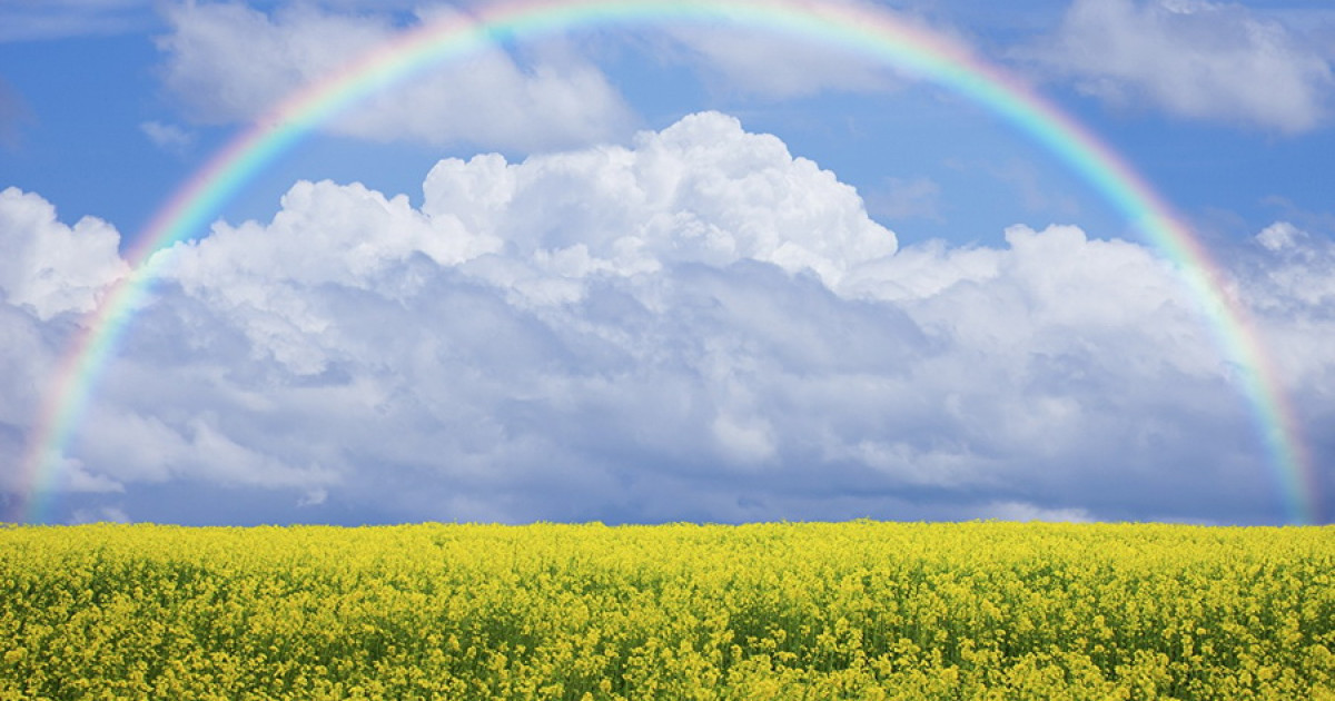 Демалыс күнгі ауа райы қандай болады?