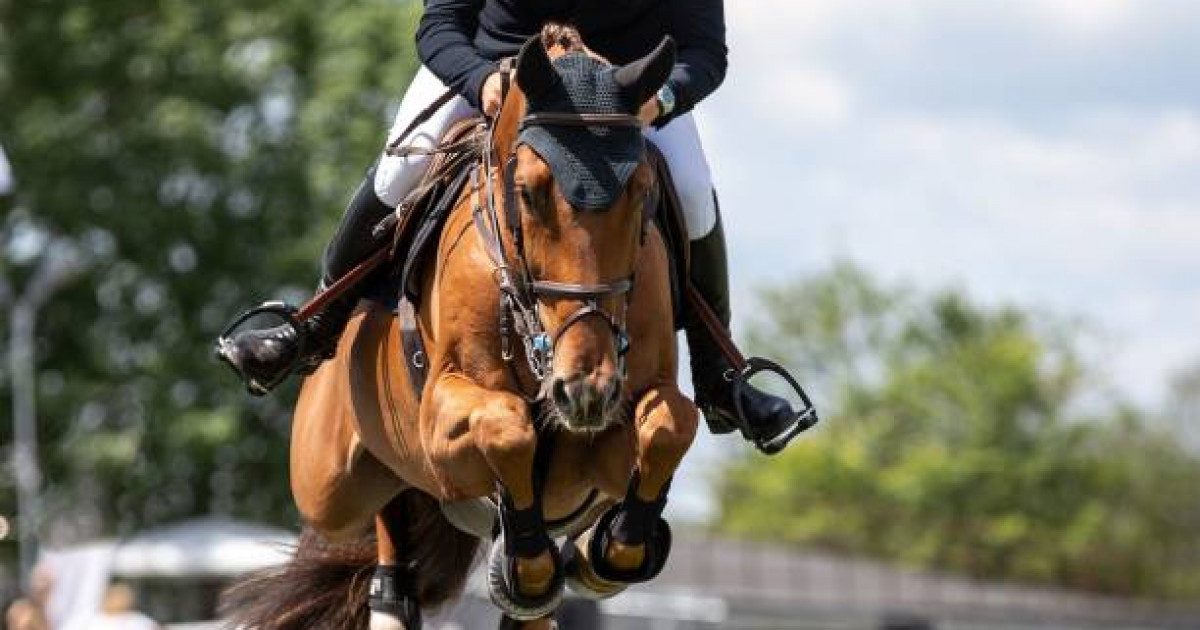 Елордада конкурдан Қазақстан кубогы өтеді