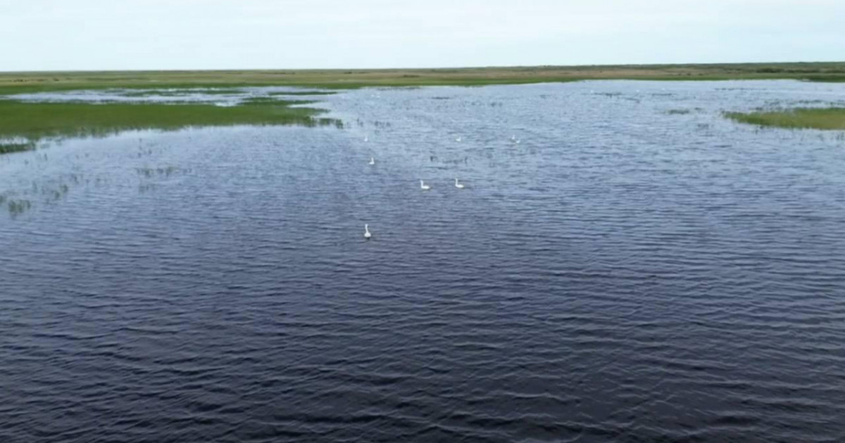 Соңғы 10 жылда алғаш рет Қаракөл суға толды