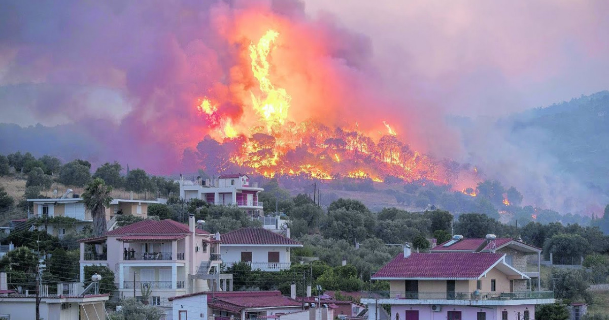 Грекияда аптап ыстықтан орман өртенді