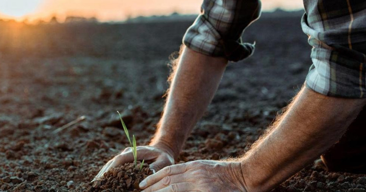 Қазақстанда фермерлік далалық мектептер ашылады