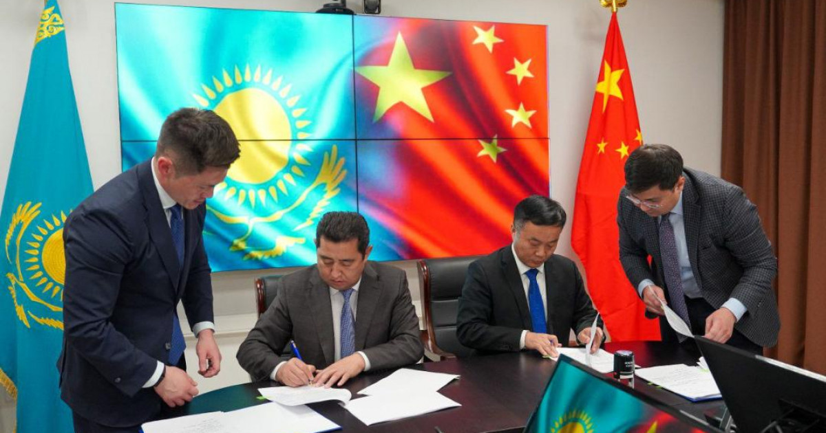 Қазақстанда жүгеріні терең өңдейтін зауыт салынады