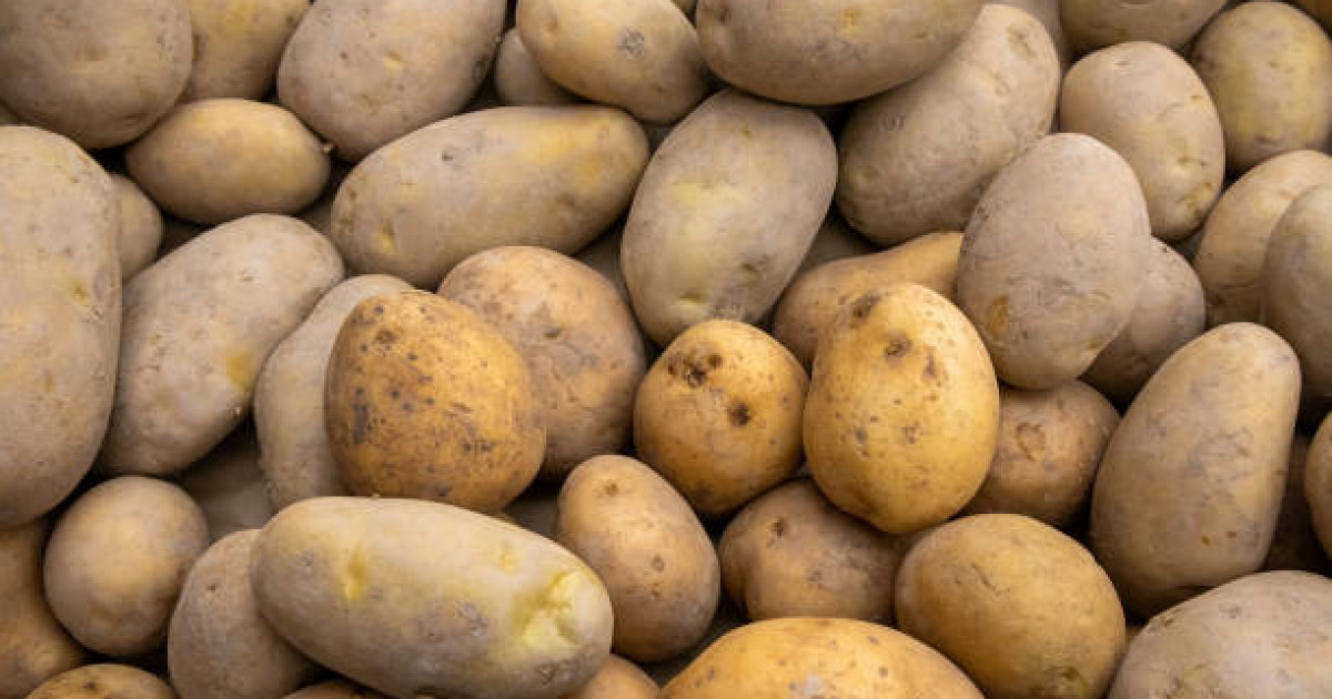 Картоп бағасы күрт қымбаттады