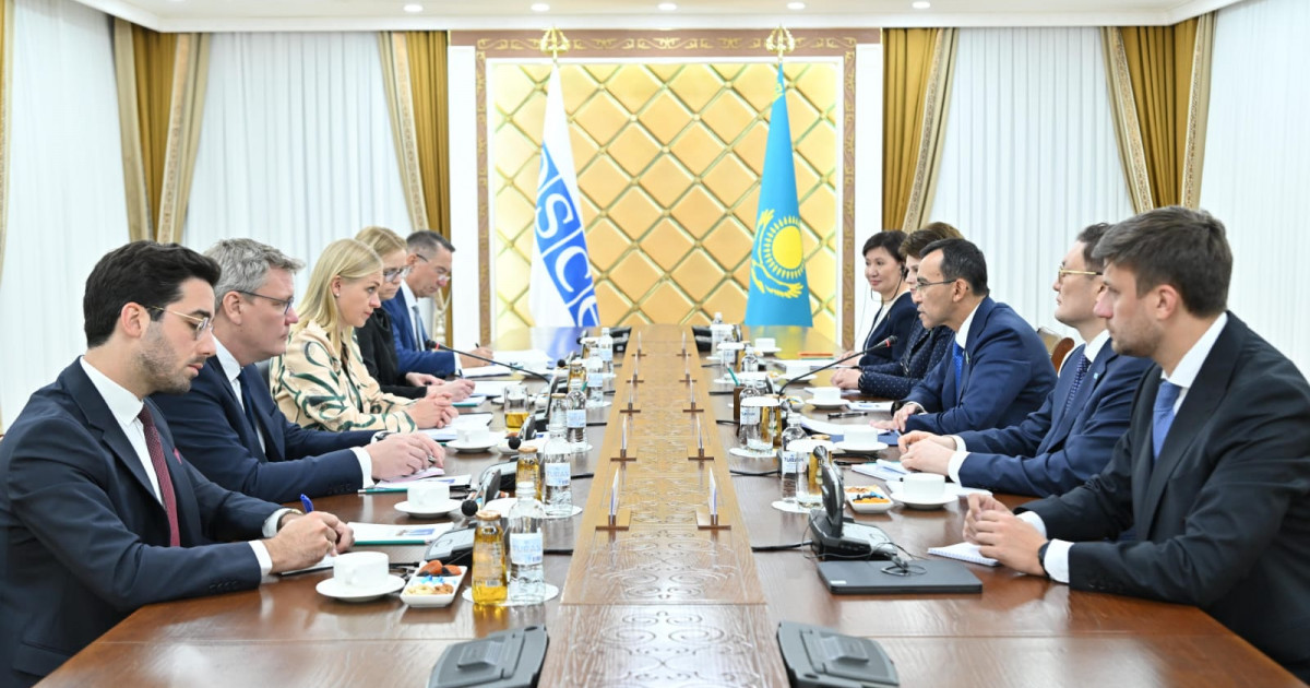 Мәулен Әшімбаев  ЕҚЫҰ төрағасы – Финляндияның Сыртқы істер министрімен кездесті