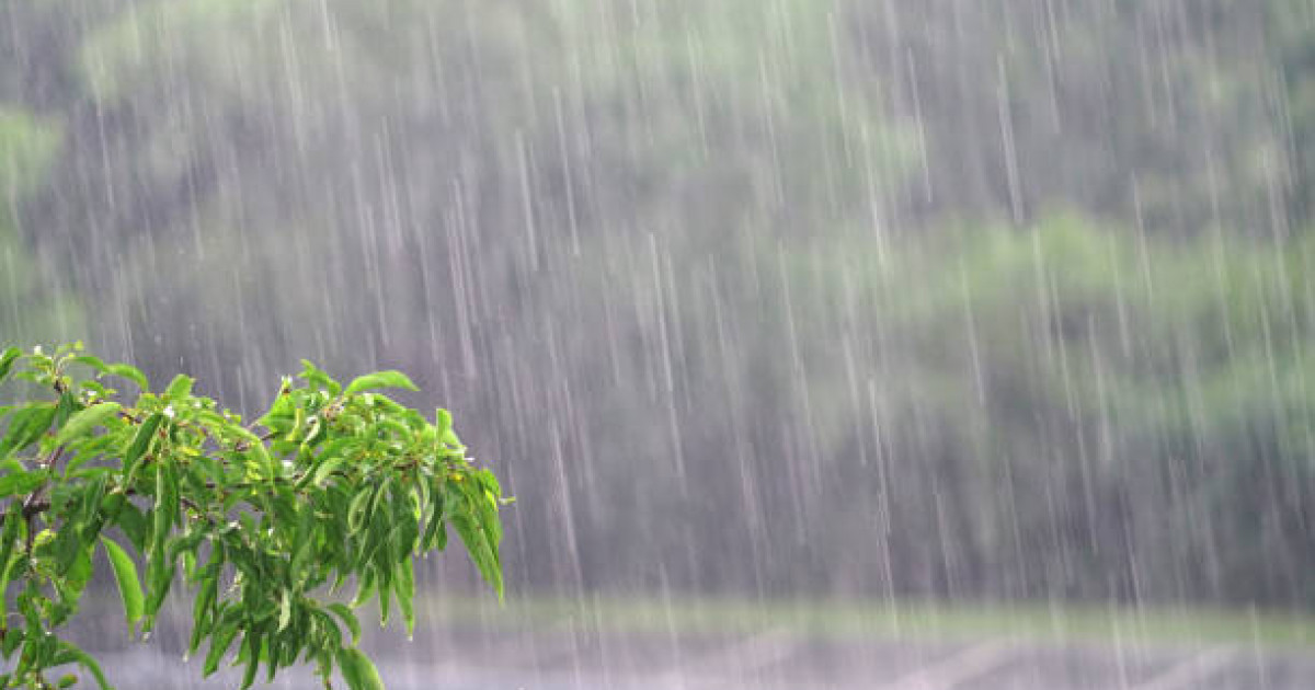 Маусым айында жауын-шашын мөлшері қандай болады?