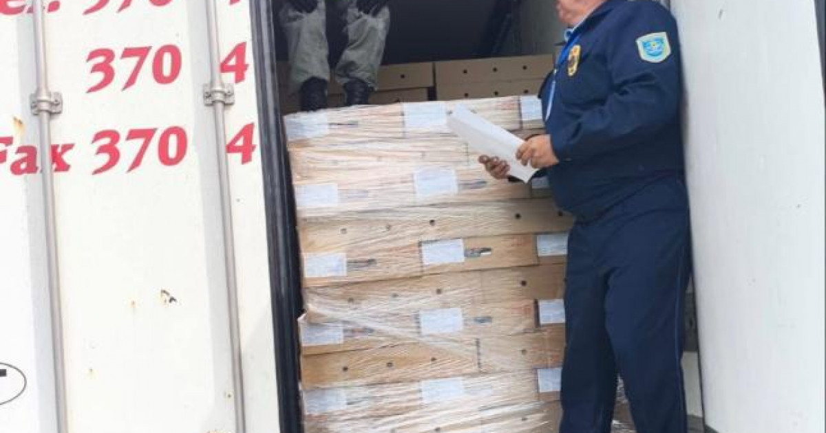 Шошқа етін заңсыз әкелгендер ұсталды