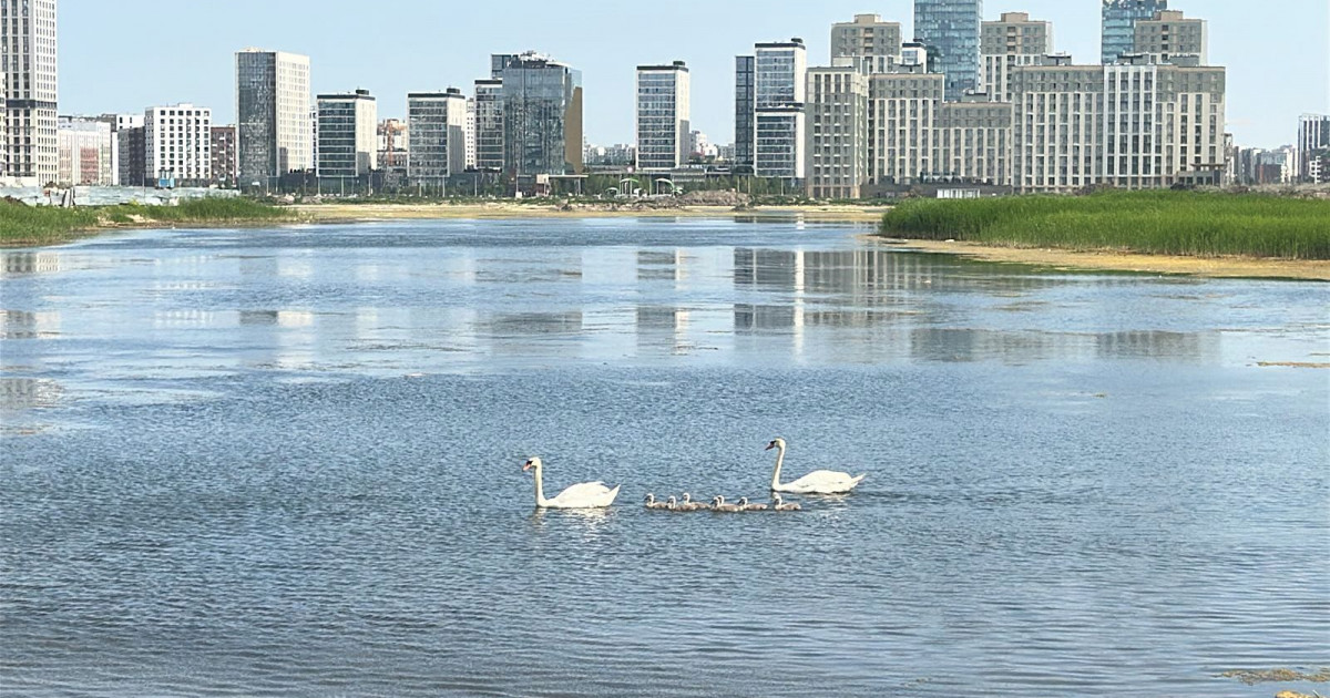 Талдыкөл көлдері – Астананың ару келбеті