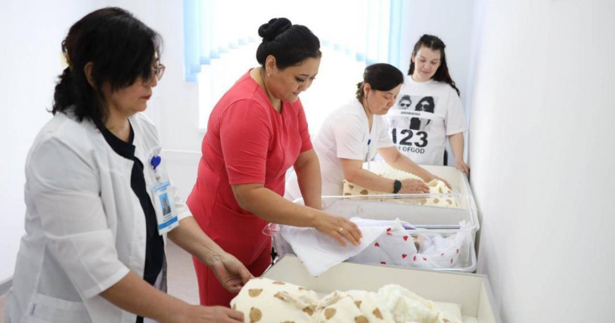 Үшемдер дүниеге келді