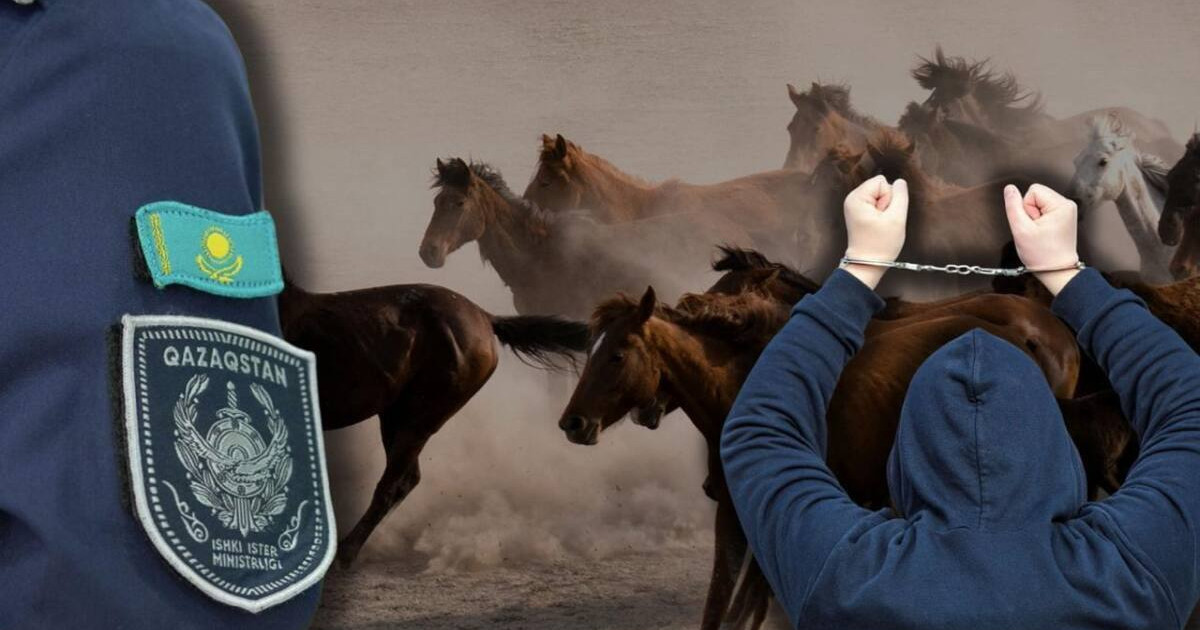 Жетісуда жалпы құны 9 миллион  теңгеден асатын мал ұрлығы ашылды