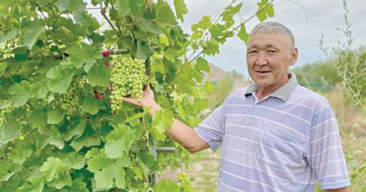 Берекелі жылыжай