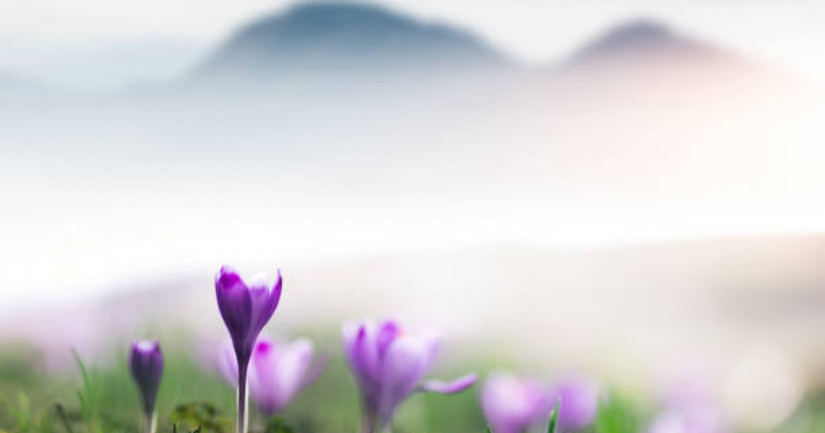 Бірқатар облыстарда төтенше өрт қаупі сақталады