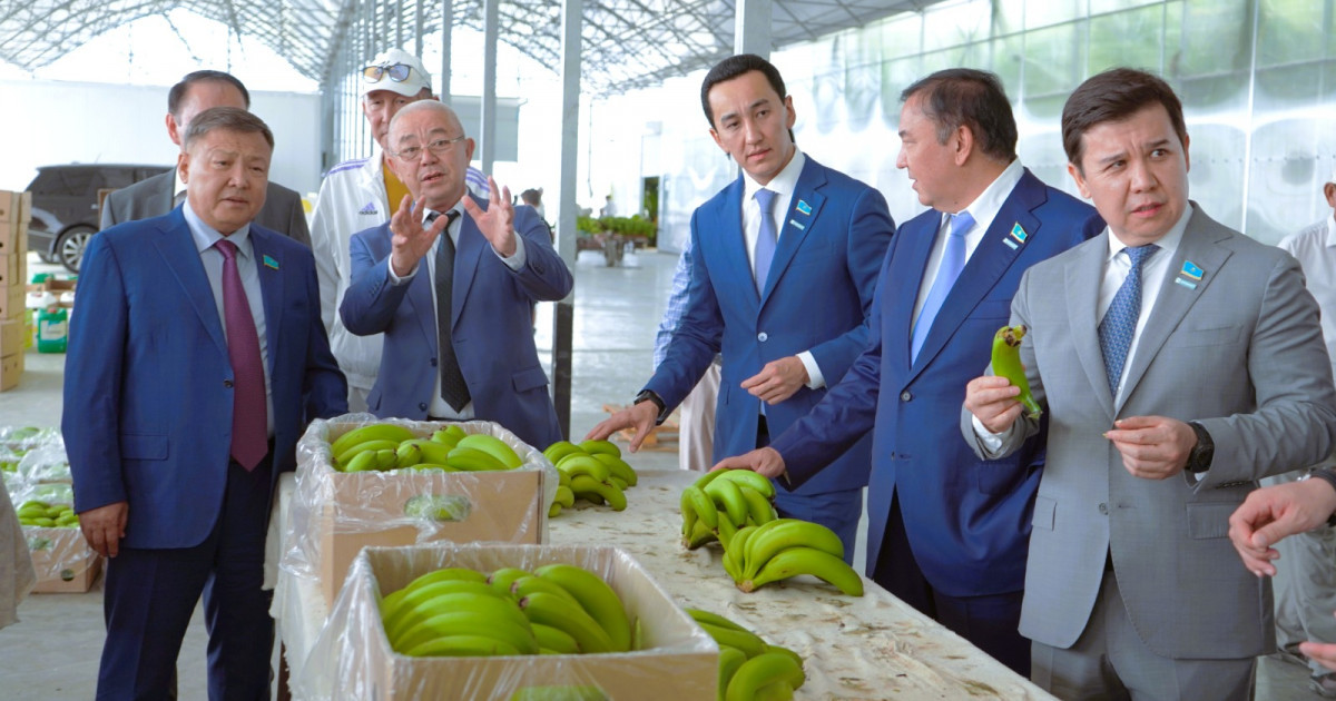 Депутаттар Түркістан облысында банан өсіріп отырған шаруамен жүздесті