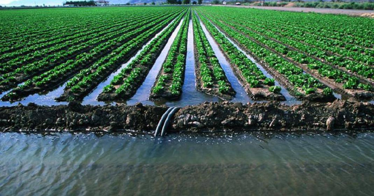 Елімізде егістікке су жеткілікті ме?