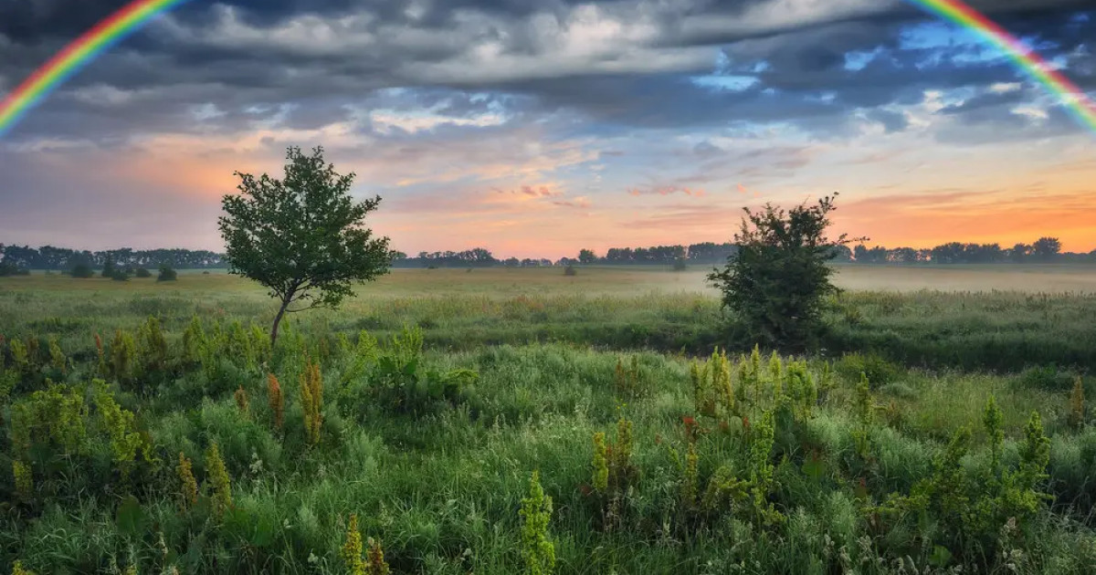 Еліміздің басым бөлігінде ауа райы құбылмалы болады