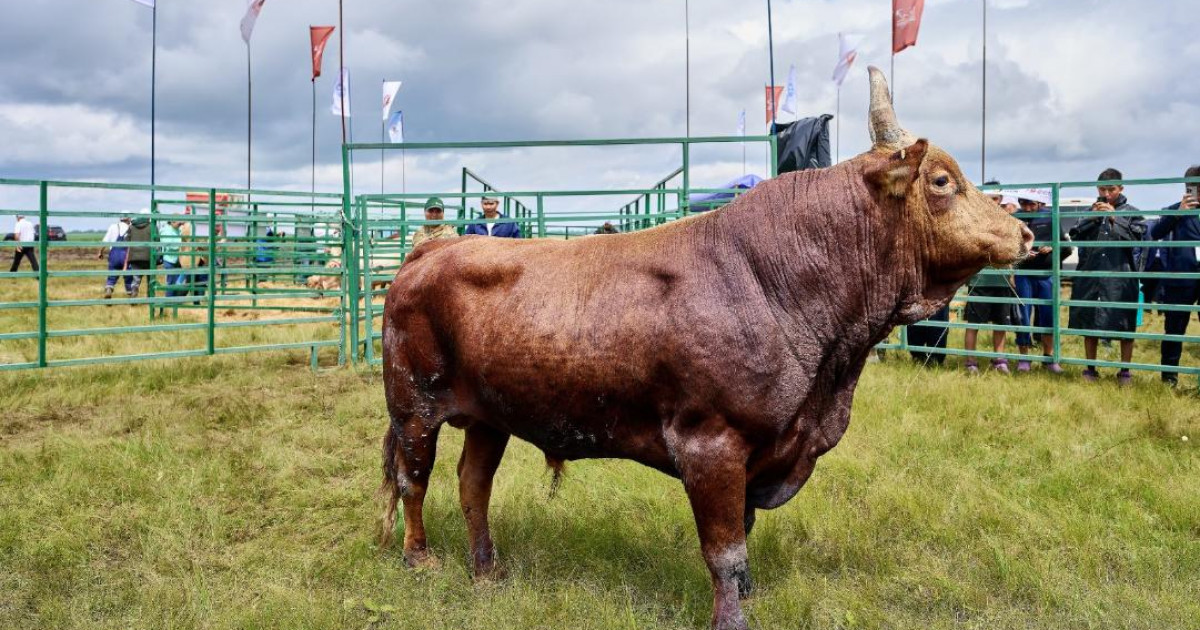 Қазақстанда  Jańa Dala-Green Day‘2025  мамандандырылған көрме-көрсетілімі өтеді