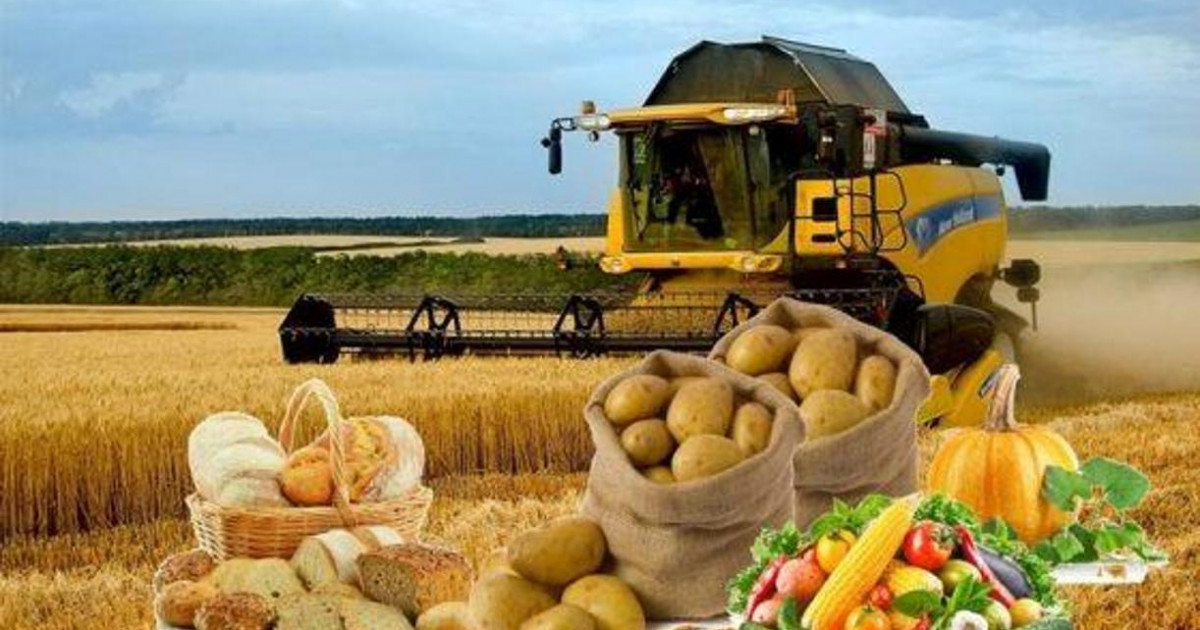 Қазақстанда тамақ өнімдерінің өндірісі артты