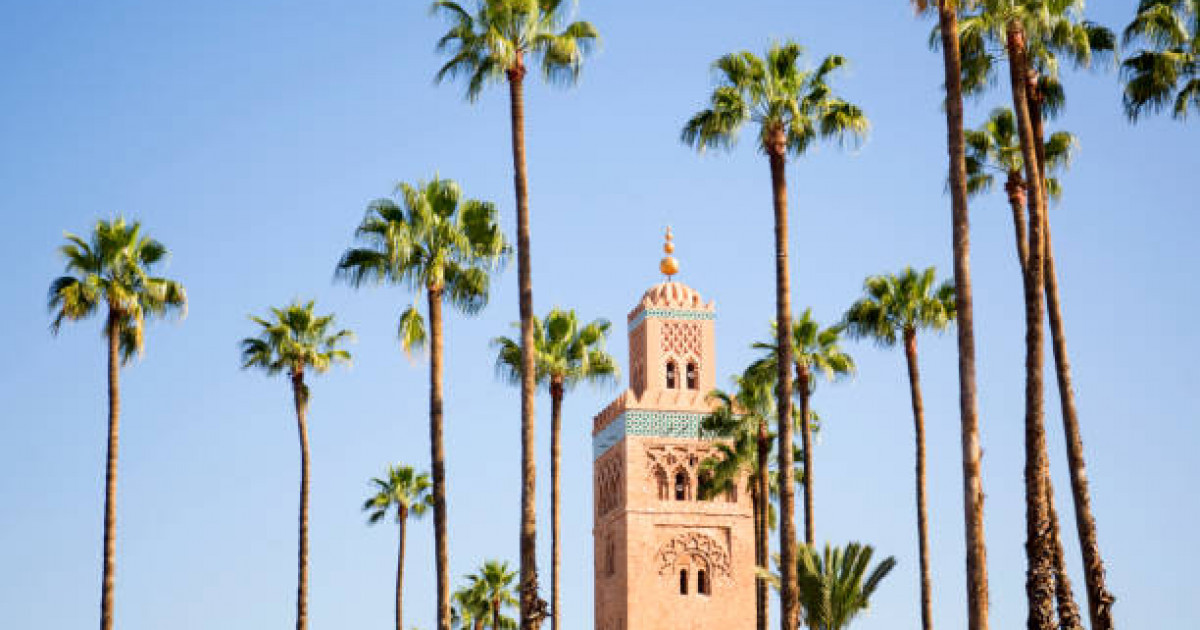 Марокко Корольдігі қазақстандықтарға 20 оқу грантын ұсынады