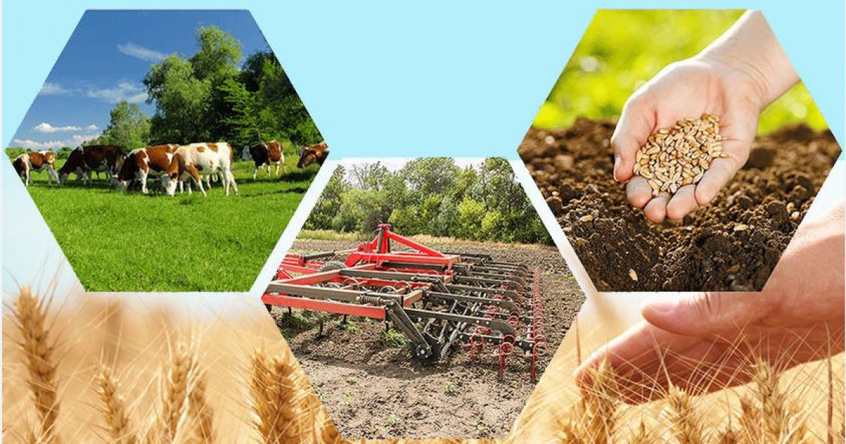 Саладағы жаңа серпіліс