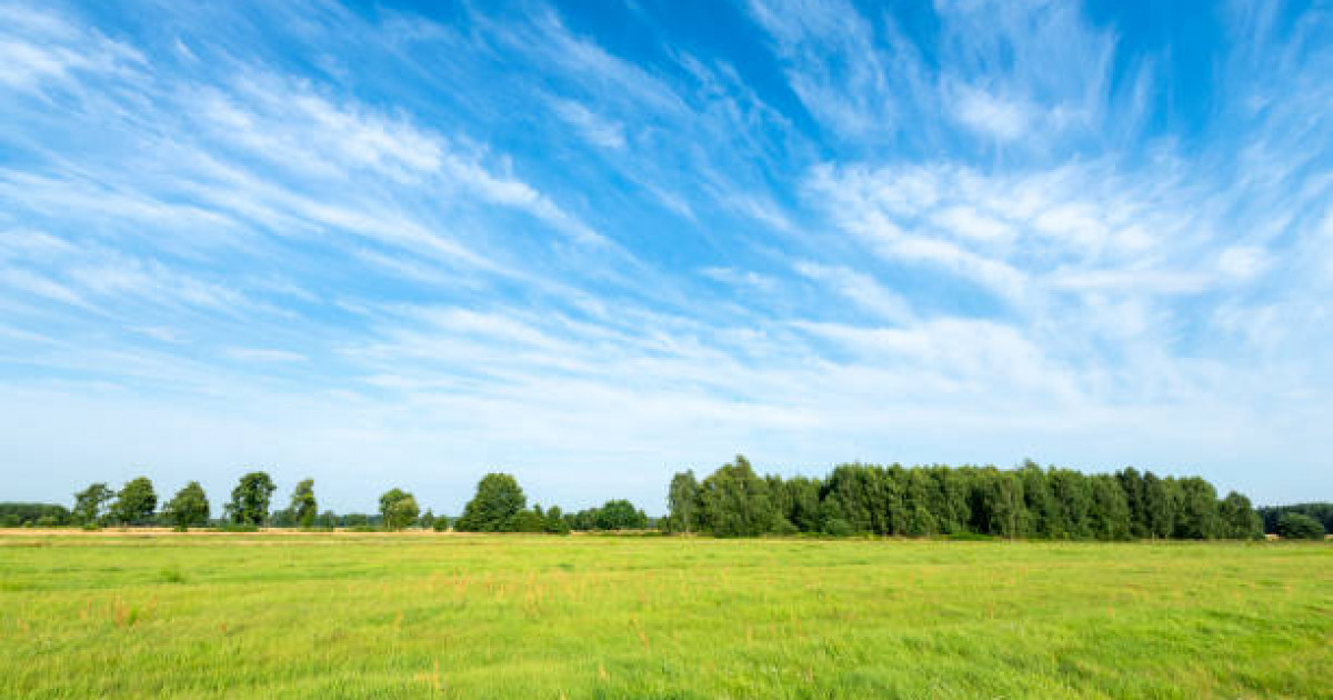 2025 жылы шілде айында ауа райы қандай болады?