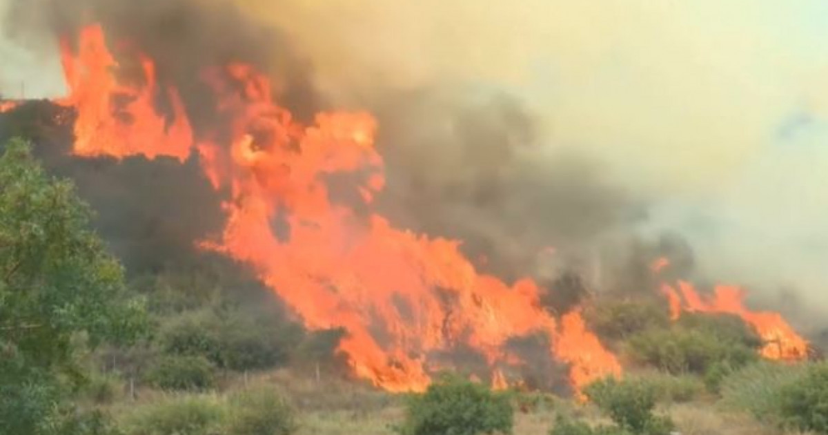 Түркияда орман өртінен 13 адам опат болды