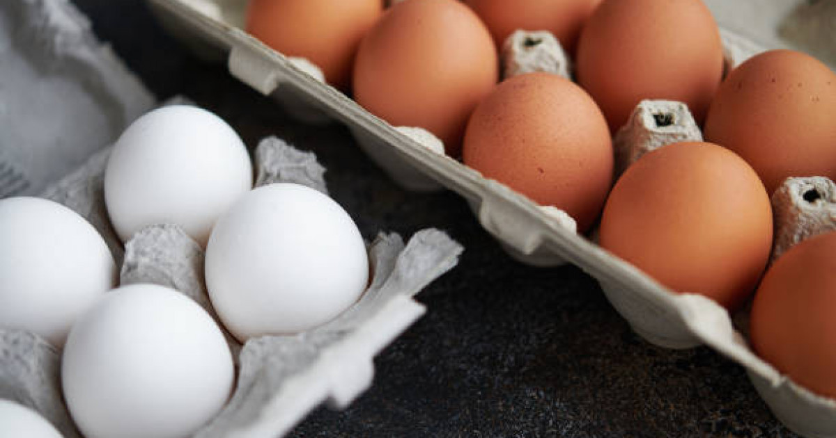 Заңсыз жолмен әкелінген жұмыртқаларды сату мәселесі бақылауға алынды