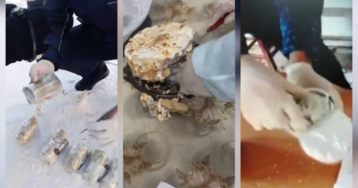 Адвокаттар колонияға тыйым салынған заттарды жасырын кіргізбек болған