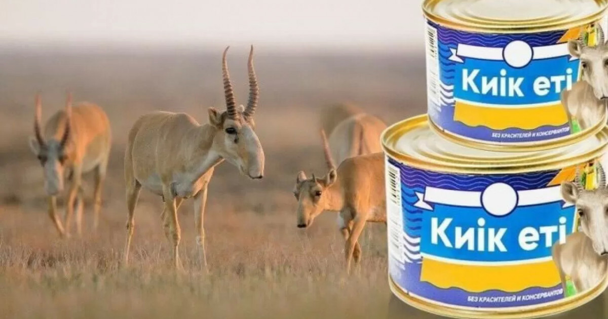 «Денсаулыққа пайдалы»: Ақтөбеде киік еті 1 800 теңгеден сатылып жатыр