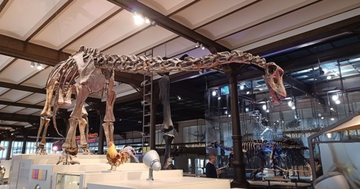 Динозаврлар дәуірінде адамдар оттегі жетіспей қиналатын еді