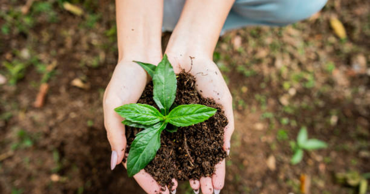 InEco Fest – Алматы қаласының жүрегіне қайта оралды