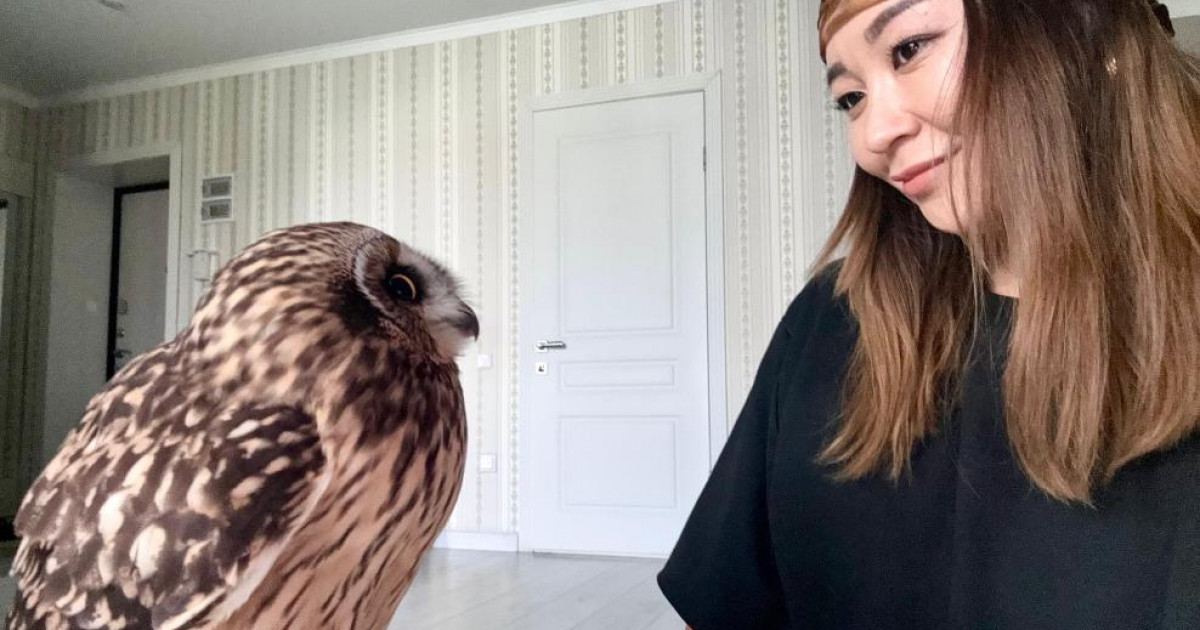 «Адам мен құстың достығы»: Қарағандылық тұрғын жаралы үкіні емдеп, асырап алды