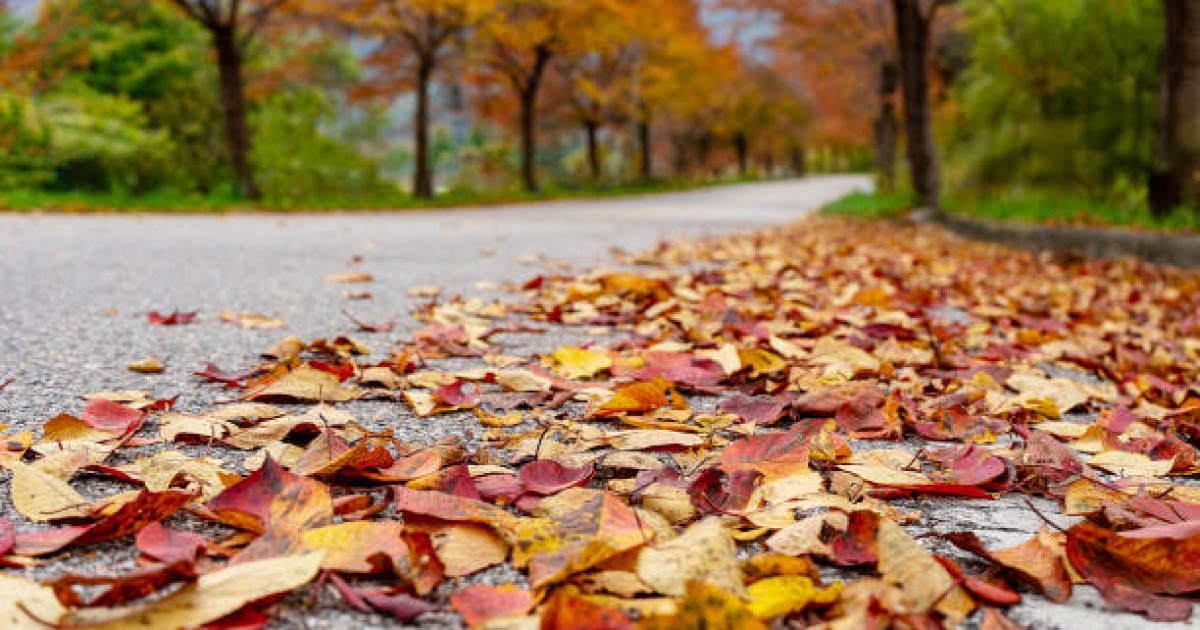 Қыркүйек айы басталмай мына бес нәрсені жасап үлгеріңіз