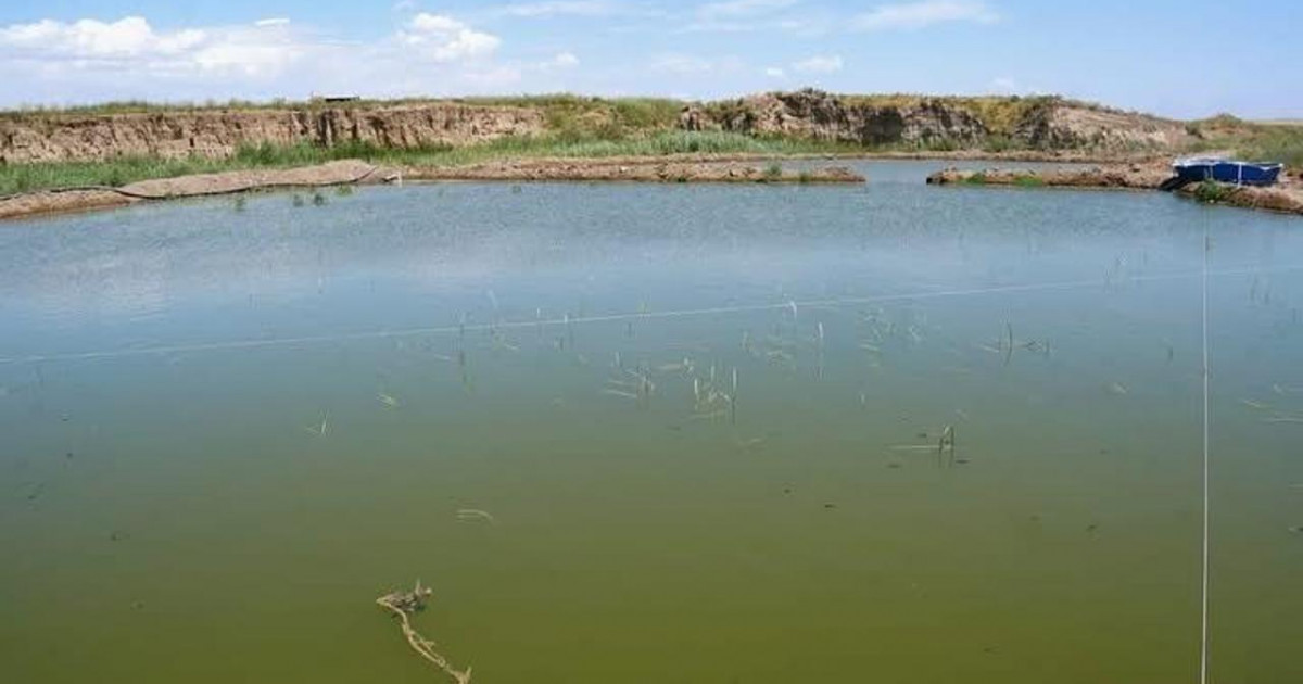 Келесте уылдырық цехы іске қосылып, алғашқы өнім алынды