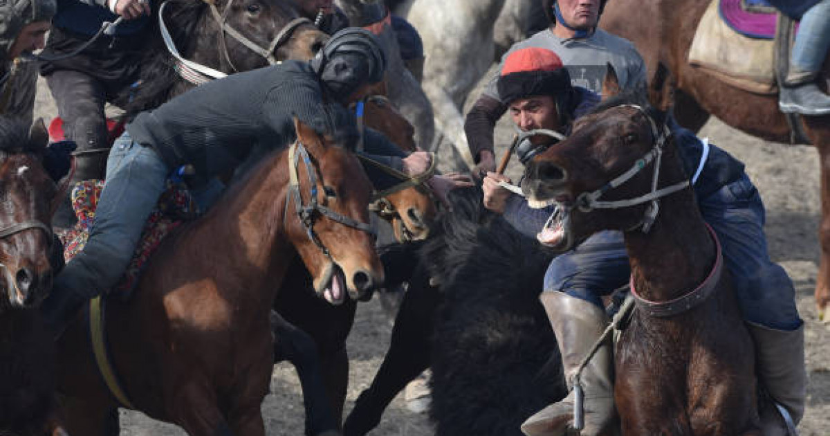 Көкпардан ел біріншілігі: Түркістан облысы чемпион атанды