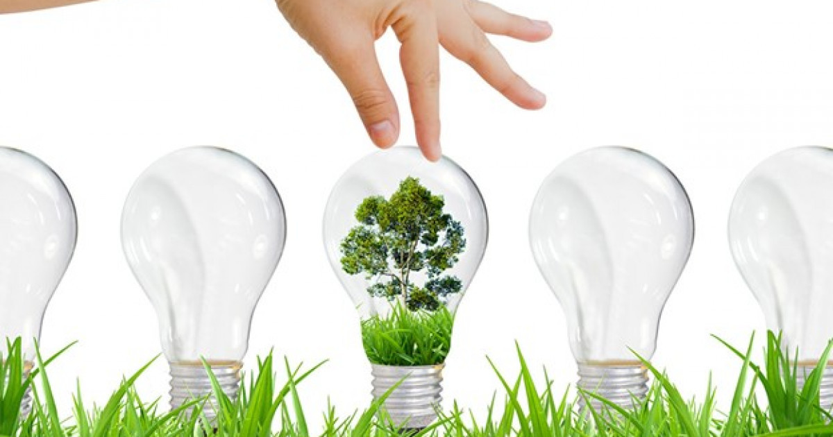 Әлемдегі барлық адам бір уақытта жарықты қосса не болады?