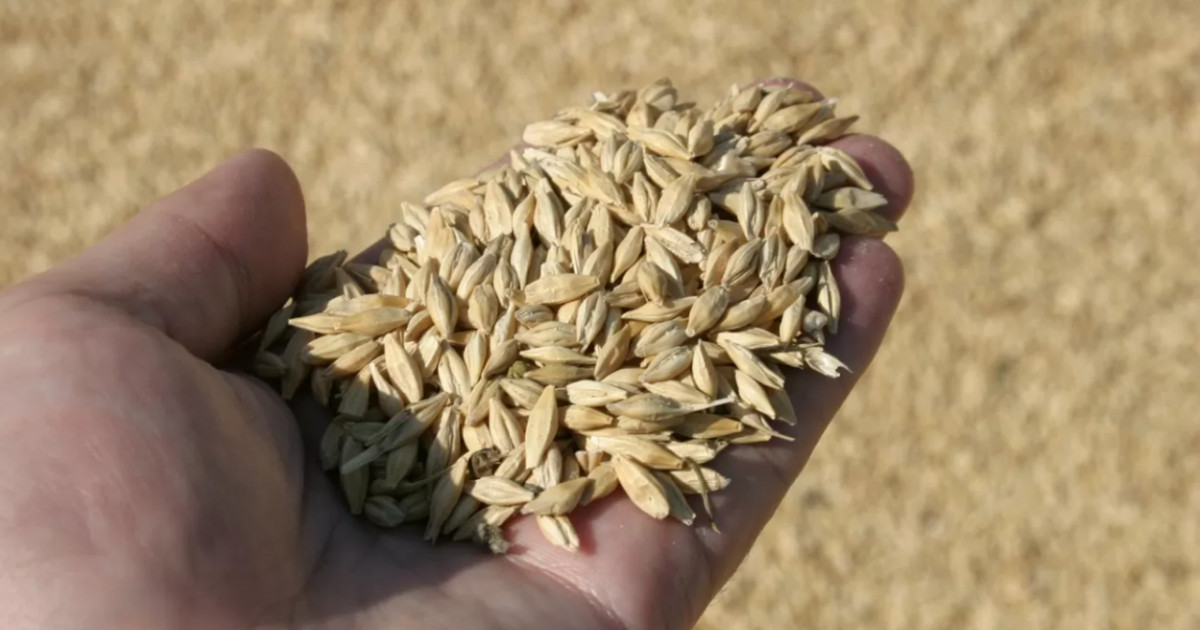 Нан қабылдау кәсіпорындары тарифтерді төмендетті