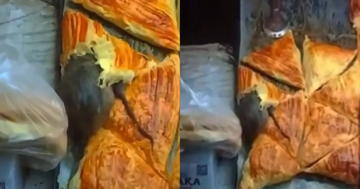 «Самсаның ішінен тышқан шықты»: Алматыда сұмдық жағдай болды