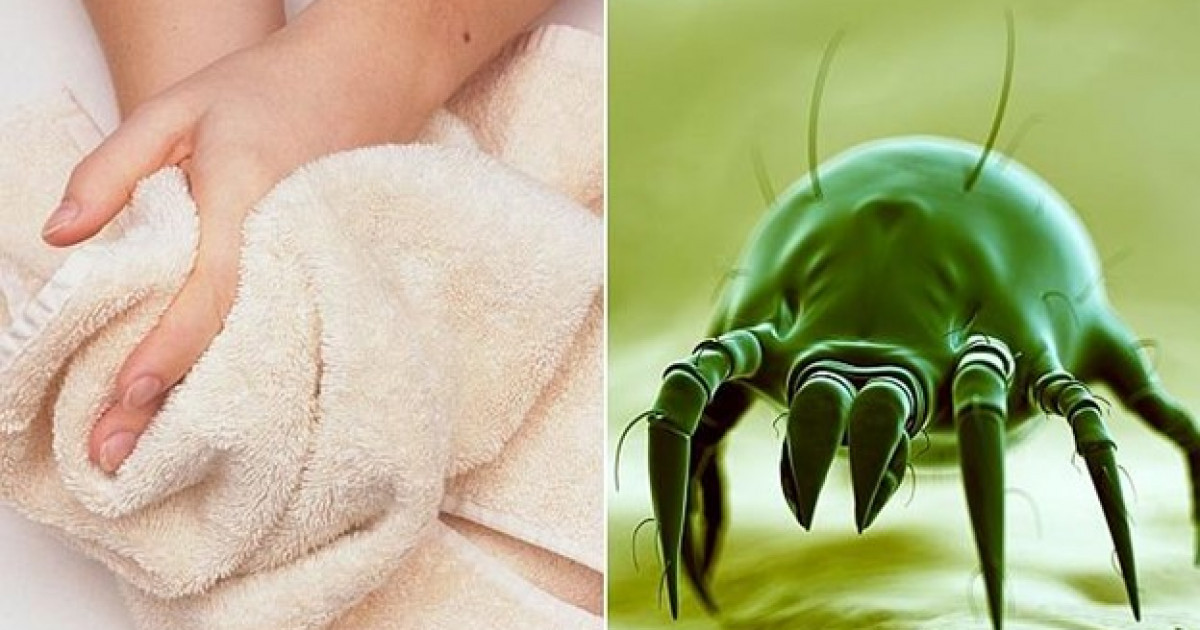 Сүлгіңізде миллиондаған бактерия мен микробтар бар екенін білесіз бе?