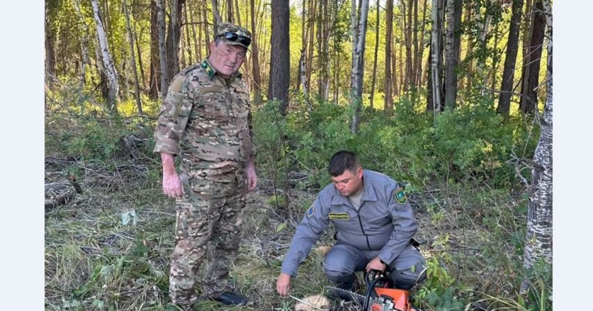 Табиғатты қорғау – ұлттық қауіпсіздік тұғыры