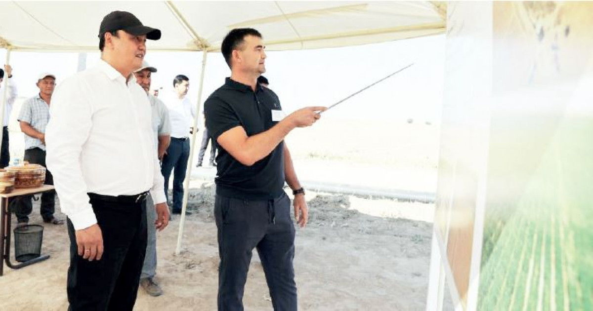 Жүйелі жұмыстар жан жадыратады